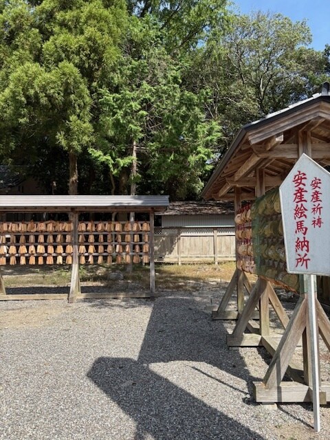 徳島県 大麻比古神社 代理参拝致します 心を込めて開運祈願致します。全体運アップを祈る現地ご祈願 イメージ7