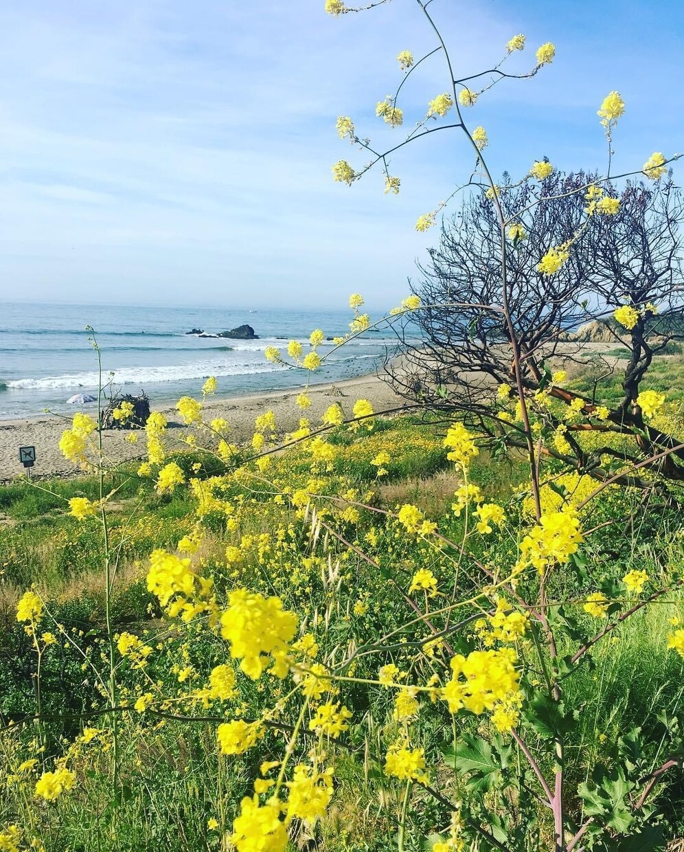 アメリカ国内でご希望の写真撮影できます 日本国内では出せない雰囲気の写真をご提供致します。 イメージ9
