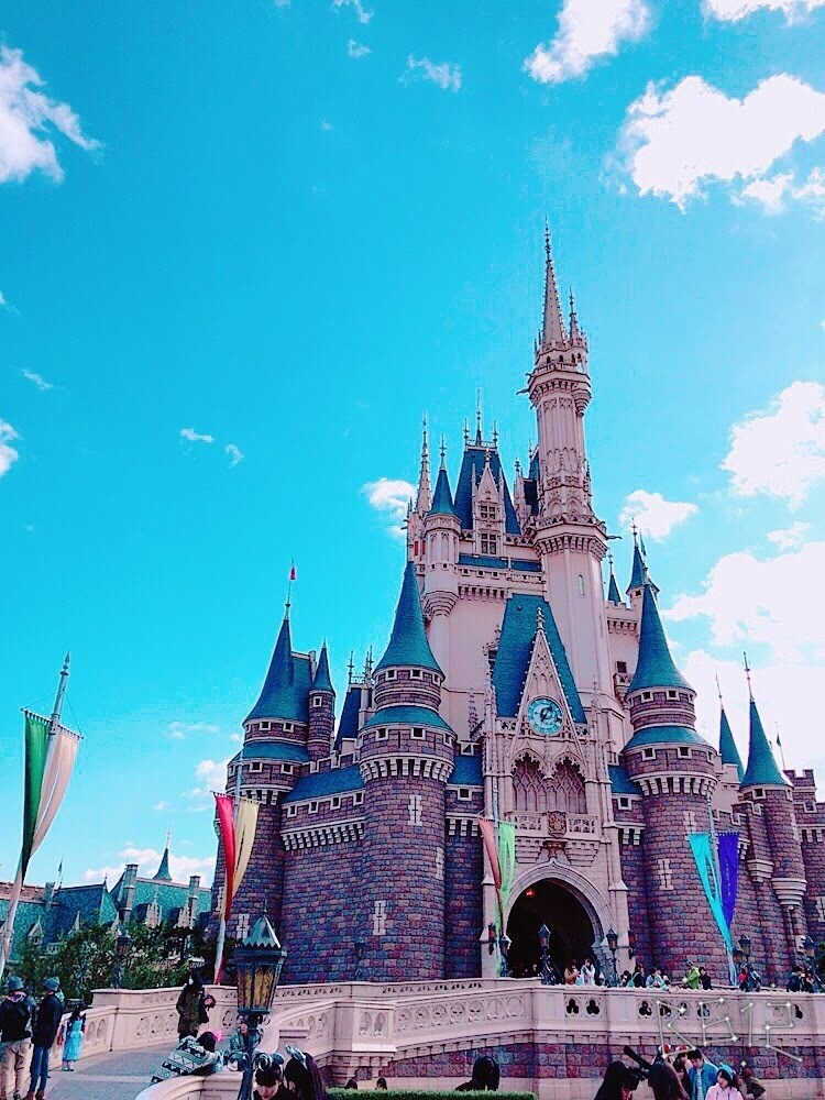 TDR初心者の方へ！楽しい周り方教えます ディズニーランド初心者、楽しみたい方へ！ イメージ1
