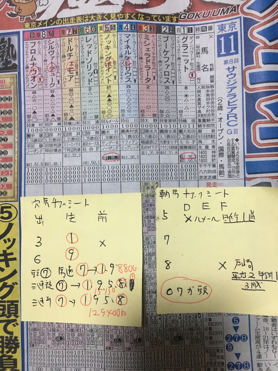 競馬瞬殺！3連単、3連複新投資アイテムを伝授します 軸馬チェックシート付ですので、簡単に軸馬選択。穴馬即決です。 イメージ5