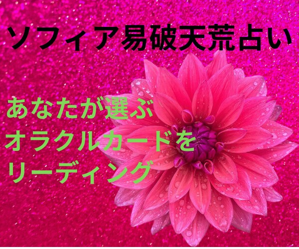 期間限定＊ソフィア易♢破天荒占い♢します ♥あなたの選んだオラクル