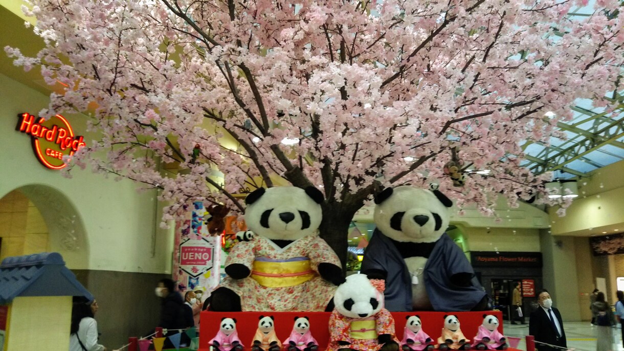 １０００年まえのランプです！ランプが全てお答えます スパジオからバリアンに移籍しもう１０年！星三つです！ イメージ4