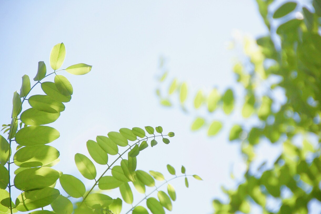 魂の声をタロットで受け取り導きます 人生の分岐点で必要な答えを知り安心できるようにします イメージ1