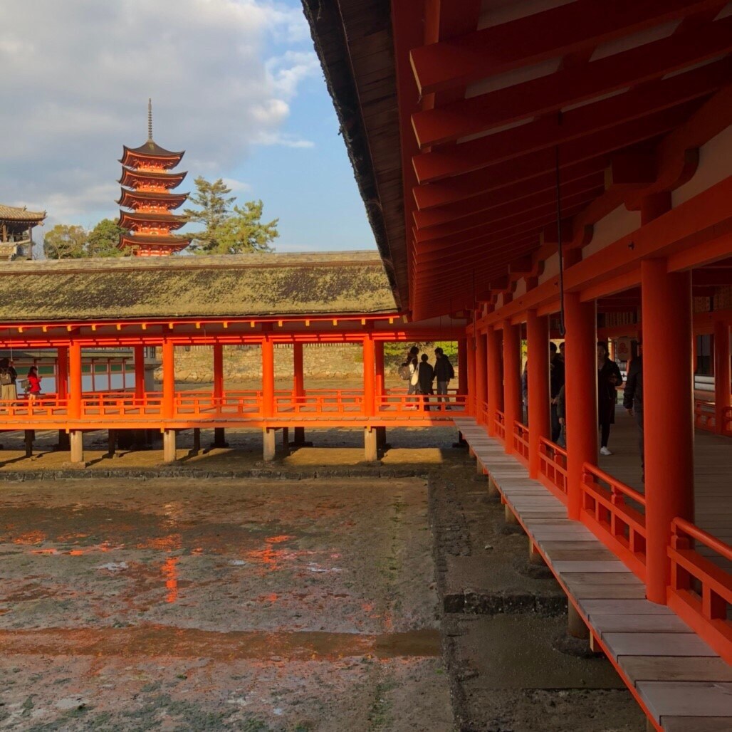 日本語⇔中国語(簡体字)の翻訳を行います ★日中夫婦が担当★当日回答可能 イメージ1