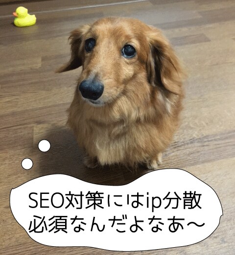 ip分散して無料ブログのアカウント開設をします 無料ブログの削除リスクを気にする人におすすめ！！ イメージ1