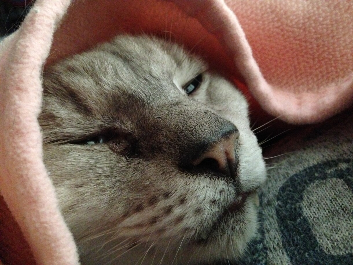 悩み事書いてみませんか イメージ1