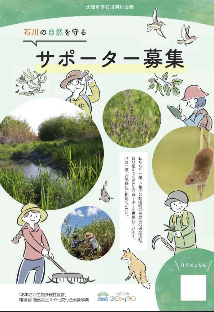 自然教室や森林学習向けのパンフレットを作成します かわいいイラストで楽しく学ぼう！ イメージ2