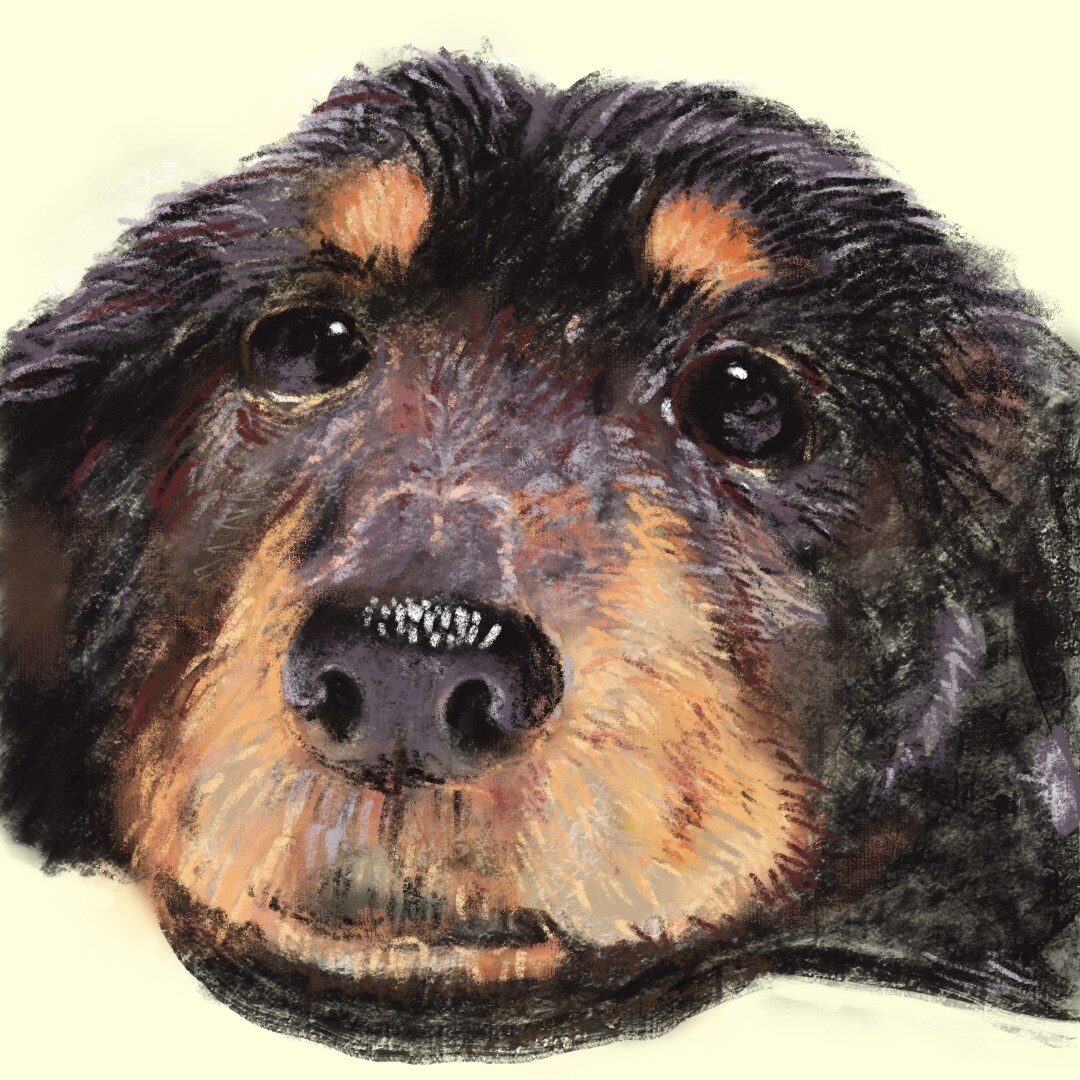 愛犬・愛猫を色鉛筆またはデジタルでリアルに描きます ペットとの思い出をあったかい似顔絵でお手元に イメージ8