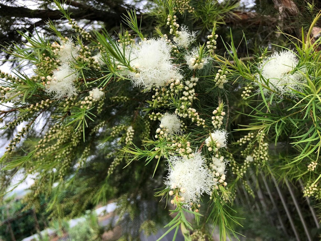 布ナプキンのトリセツをお伝えいたします 生理痛、冷え性など不調をお持ちのアナタへ イメージ2