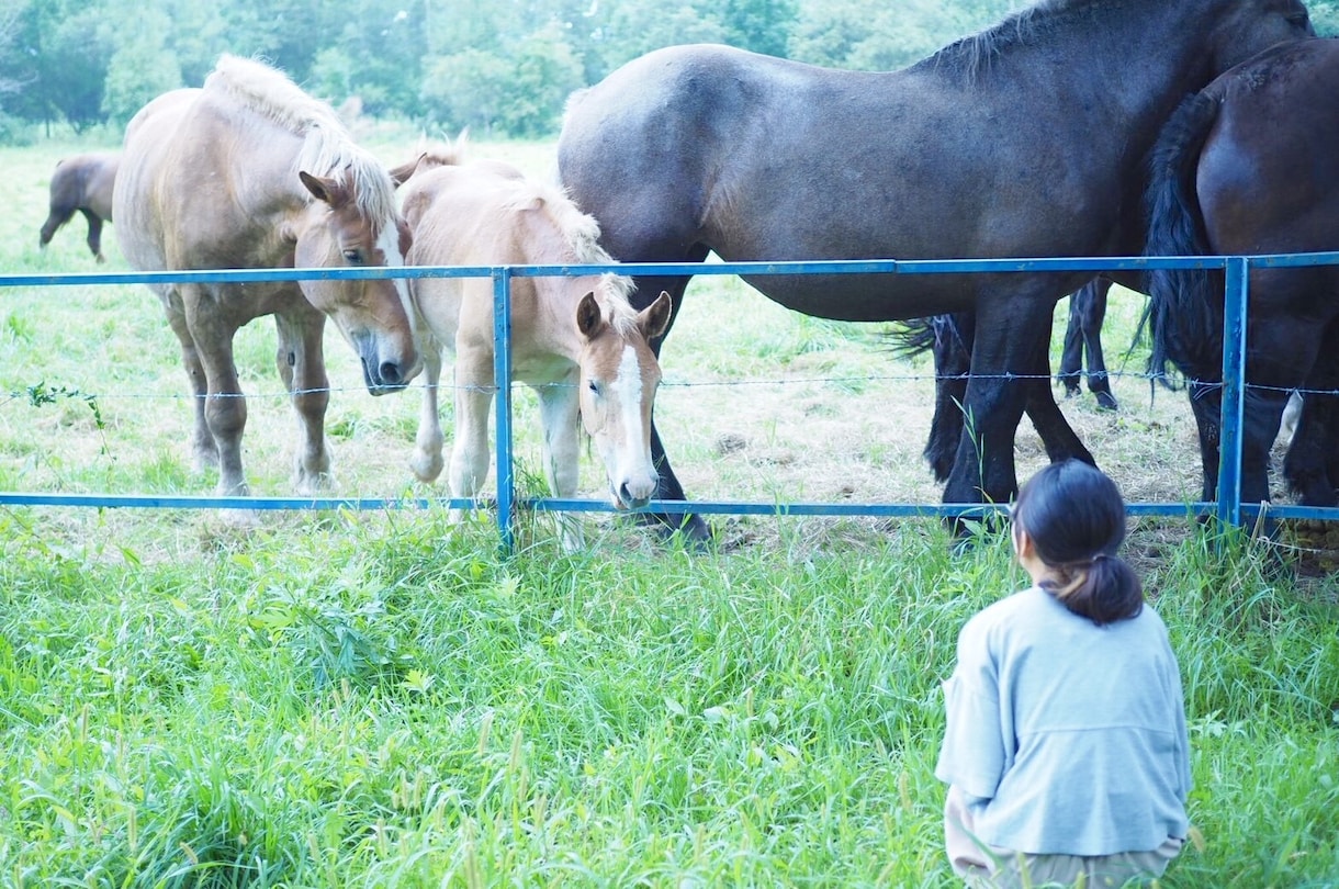 大したことじゃないけど誰かに話したい。お聞きします 小さな出来事だけど聞いてほしいってお話があればお聞きします！ イメージ1
