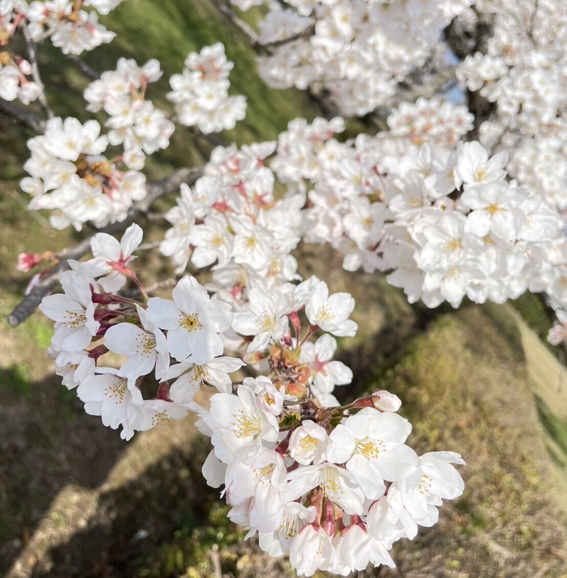 仕事のストレス・お悩みの相談・聞きます 仕事のストレスで寿命が縮むって知ってました？吐き出して下さい イメージ3