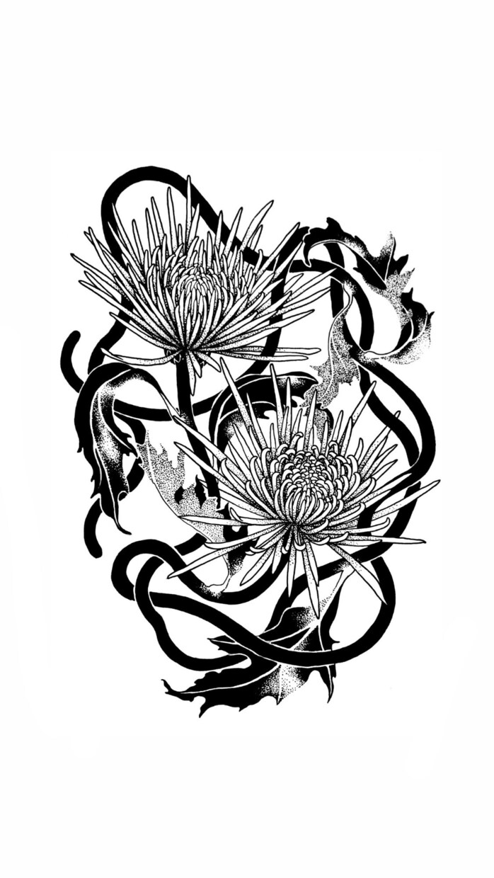 植物、動物イラストご依頼承ります 少し変わった雰囲気のお花や野草、動物等のイラスト イメージ7