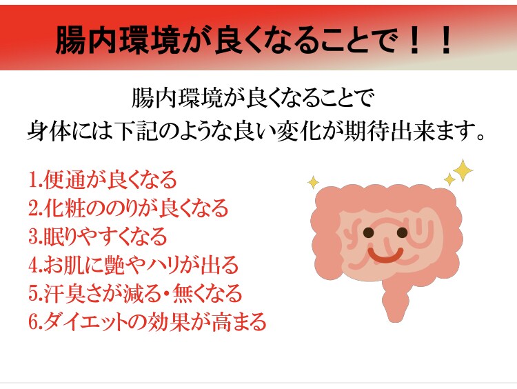 あなたに合った便秘改善に効く腸活方法教えます あなたの腸内環境を整えることに最適！！ イメージ3