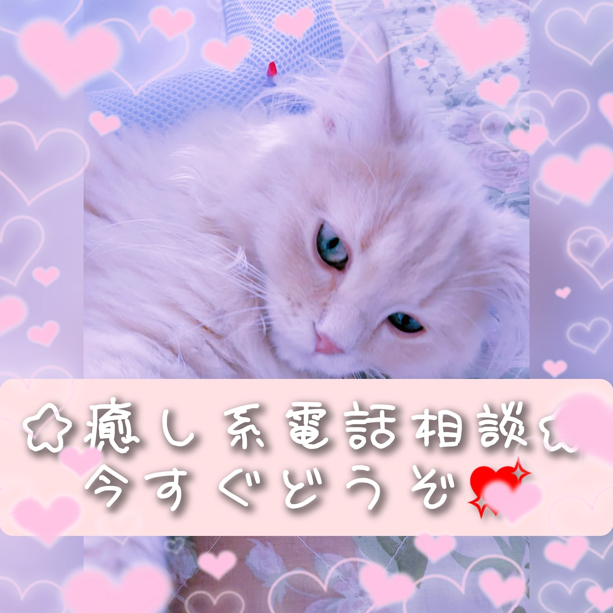 癒し系・じっくりとお悩み相談致します 少しでもお気持ちが軽くなります様に、お話を伺い解決策をご提案 イメージ5