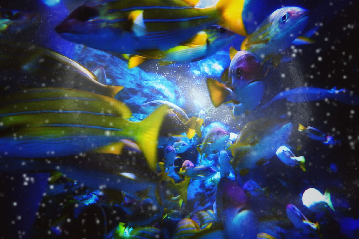 あなたの写真を綺麗に編集します 特別な1枚を作ろう！写真加工でひと味違う写真をお届けします イメージ8