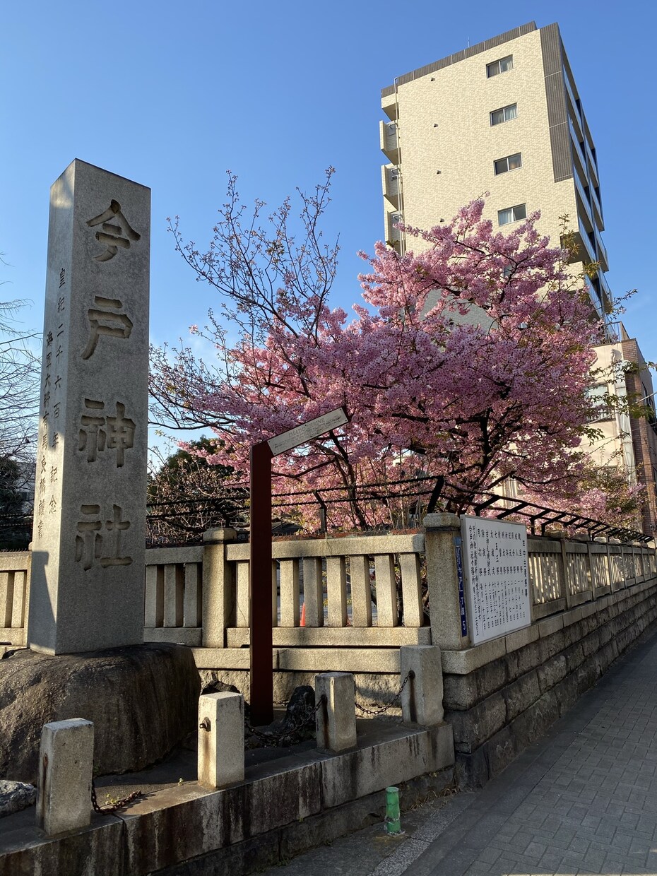 雑談部屋。とにかく話したい。お相手いたします 特に話題はない。だけど話したい。そんな時に入れるお部屋です イメージ1