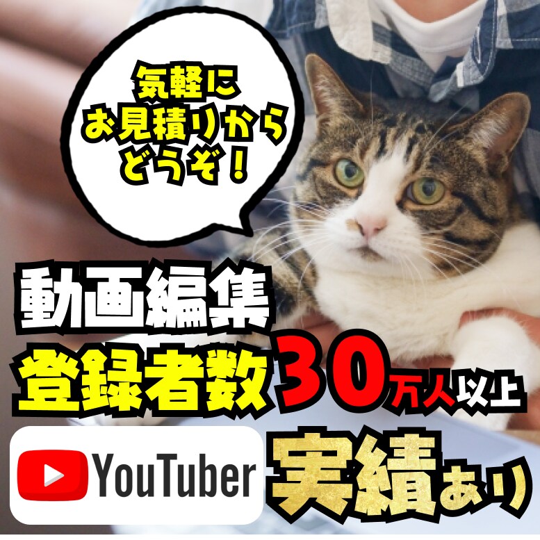有名ch実績あり!YouTube動画編集します 多数のYouTubeチャンネル運用に携わった経験をフル活用 イメージ1