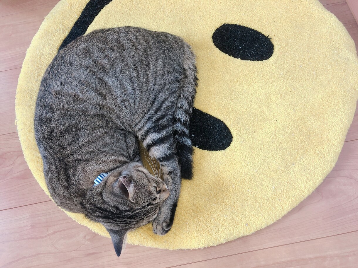 1分100円♡(*´︶`*)❤︎お話聞きます ふんわりこころのふんわりカウンセリング イメージ4