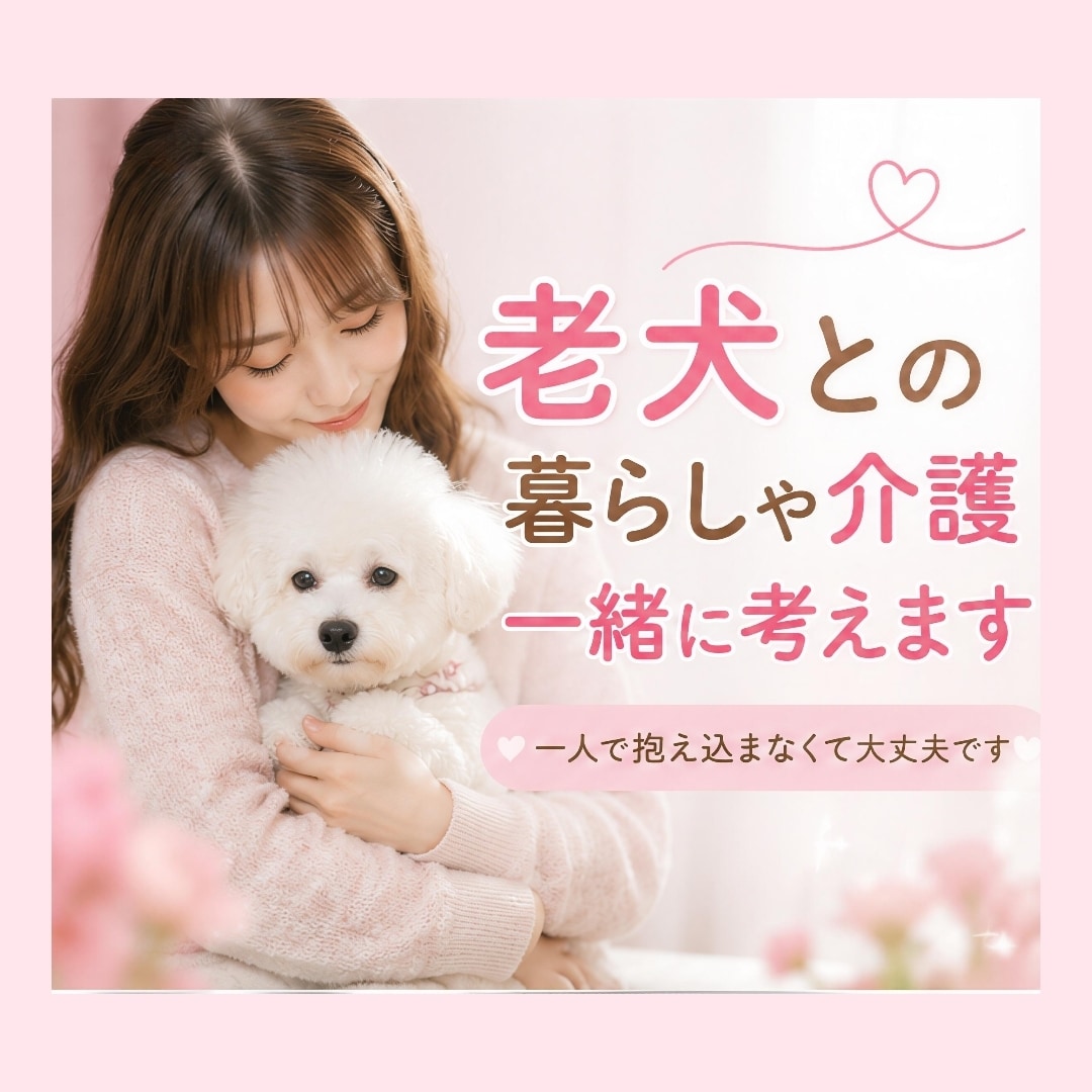 老犬との暮らしや介護のお悩みを一緒に考えます 食事・排泄・寝たきりなど、愛犬の介護をサポートします イメージ1