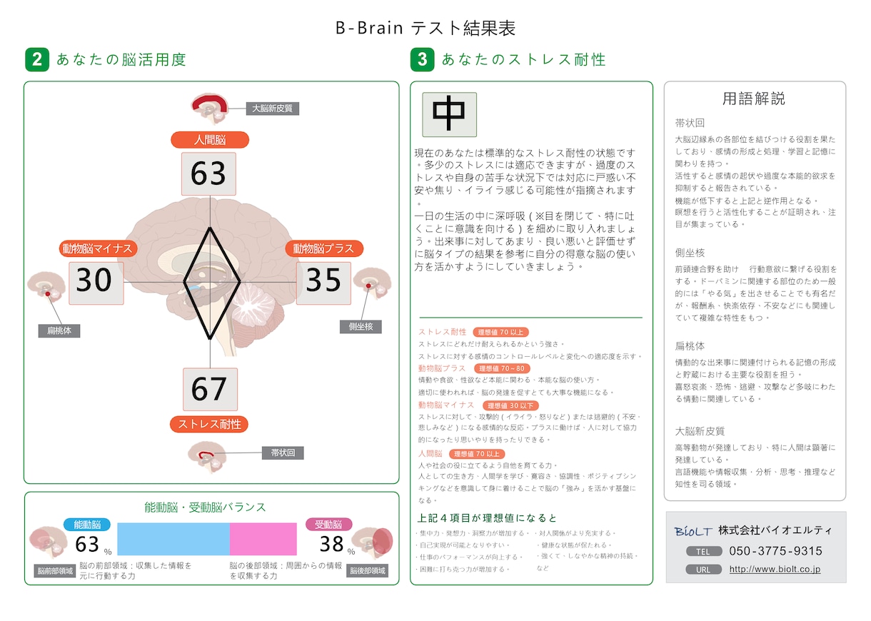 自己理解を脳の活用度診断で深めます 自分の「強み」がわからない…そんなあなたへ イメージ5