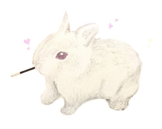 ペットや動物♡手描き感あるデジタルイラスト描きます かわいいペットの似顔絵やお好きな動物を絵にします。 イメージ5