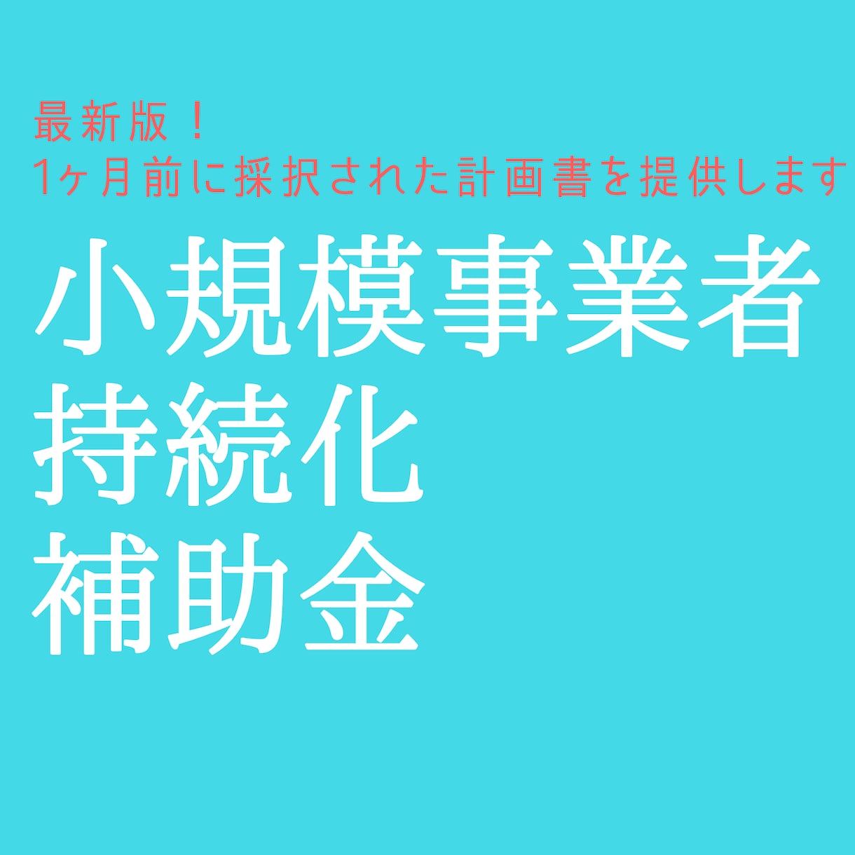 持続化補助金コロナ型で採択された計画書を提供します 2020年10月に採択率34%を通った計画書を格安で配布 イメージ1