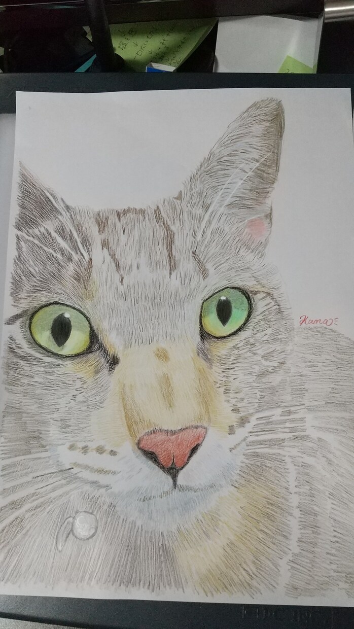 あなたのペットのイラストを色鉛筆で描きます 大切な家族、イラストにしませんか？ イメージ3