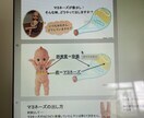 ご相談者様に合わせた勉強資料作成致します 新人看護師、看護学生さんの『わからない』を『わかった！』へ！ イメージ5