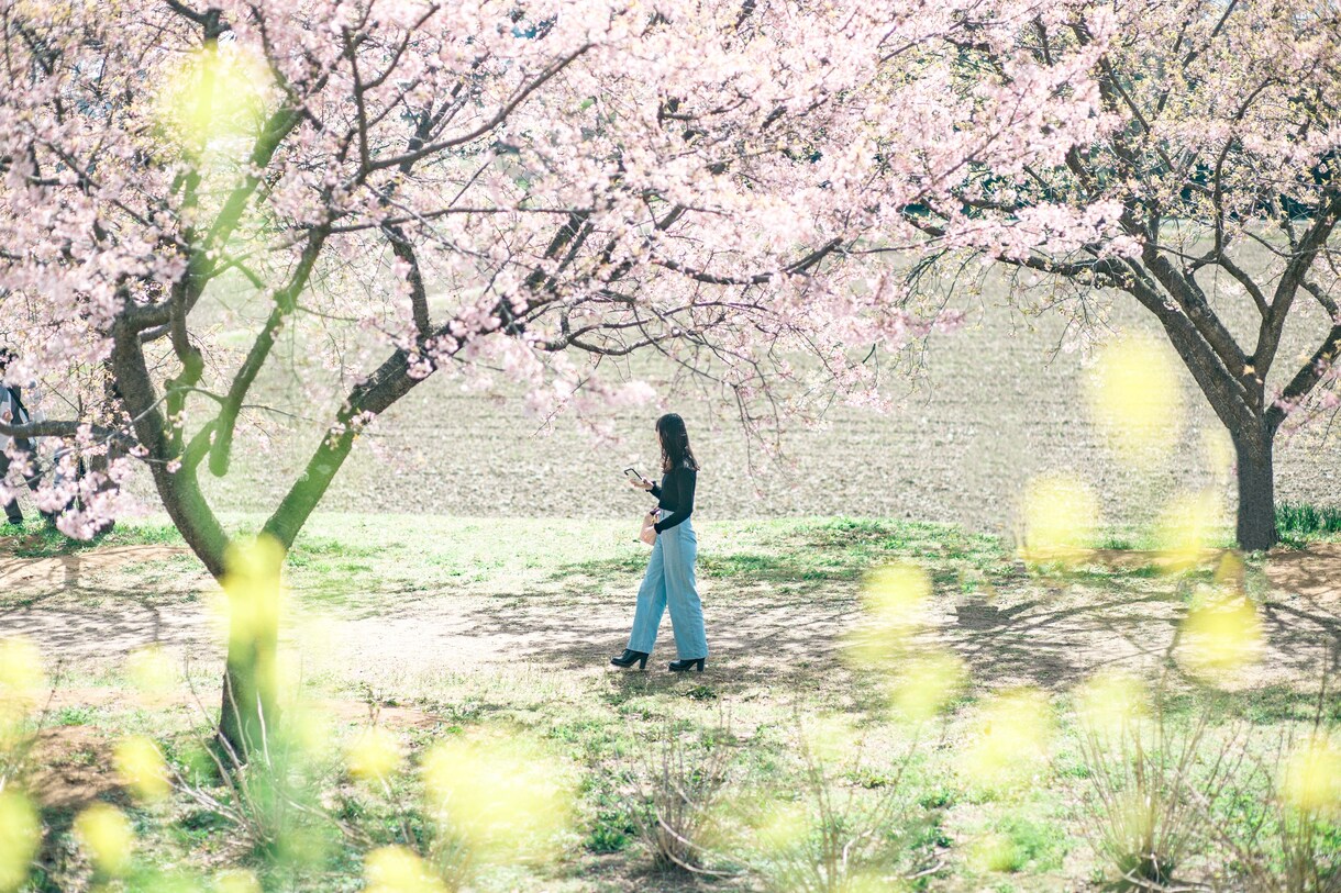 写真編集します 写真の明るさ、色味、等レタッチします。 イメージ1