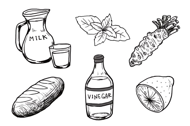 野菜や植物、料理のスケッチ風イラスト描きます メニュー表やパンフ等の挿絵にぴったりな植物・食べ物スケッチ イメージ2