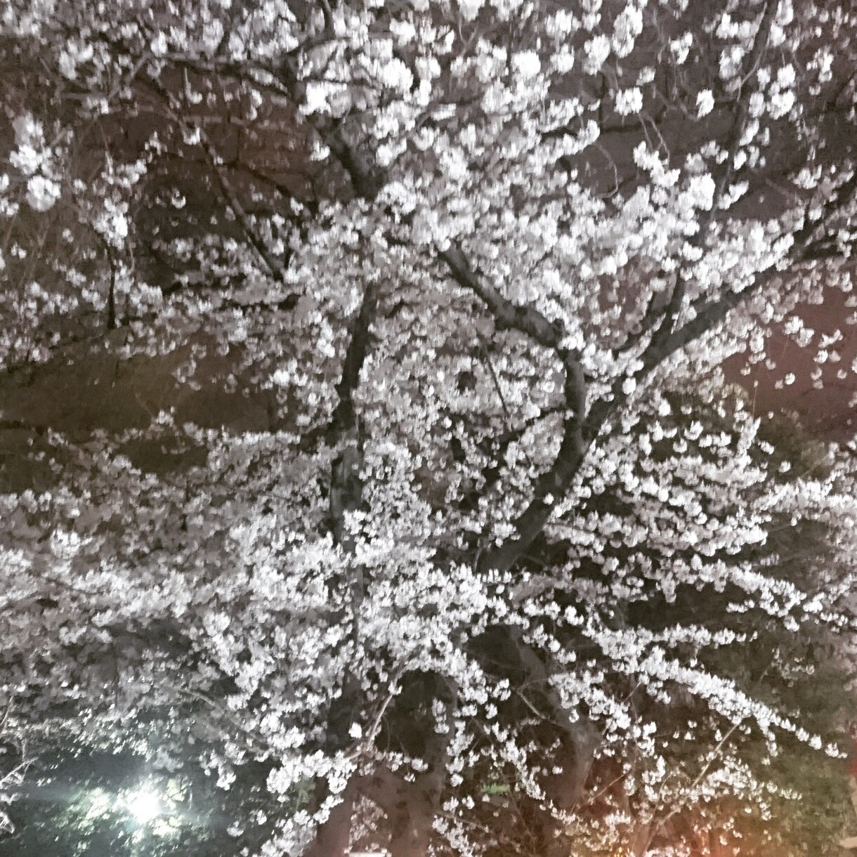 何でも悩み聞きます 自分を愛したいあなたへ必ず力になります イメージ1