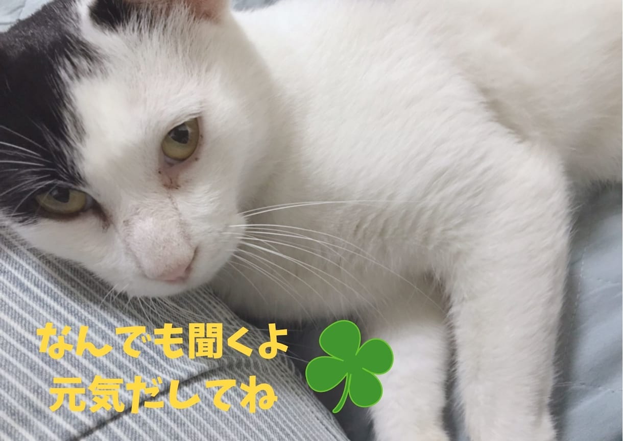ちょっとだけ今すぐ話＆愚痴聞いて～をお聞きします ◆その日のモヤモヤ＆イライラは伝えることで即解消しましょう！ イメージ1
