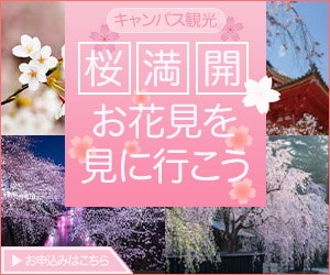 Web集客用バナー作成致します 修正何回でもOK。￥1,000で提供いたします！ イメージ2