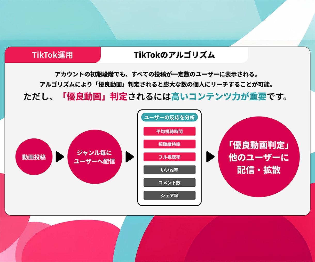 総再生数2200万超がTikTok運用代行致します 競合が始める前に!プロが集客・認知拡大・リクルート等支援! イメージ3