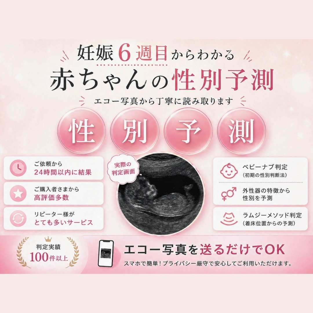 簡易版⭐︎エコー写真で赤ちゃんの性別予測をします 24時間納品◎最速6週目〜OKベビーナブラムジー外性器対応 イメージ1