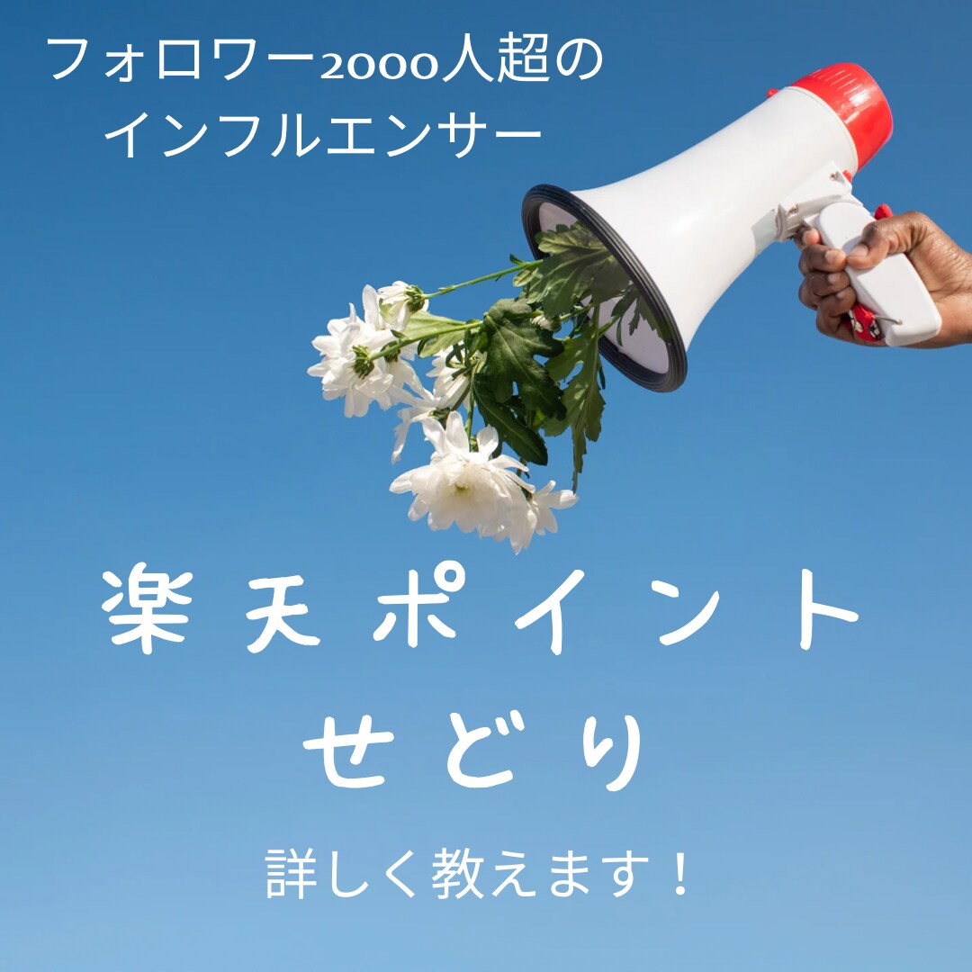 楽天ポイントせどり攻略法教えます 初心者大歓迎！丁寧にレクチャーさせていただきます！ イメージ1