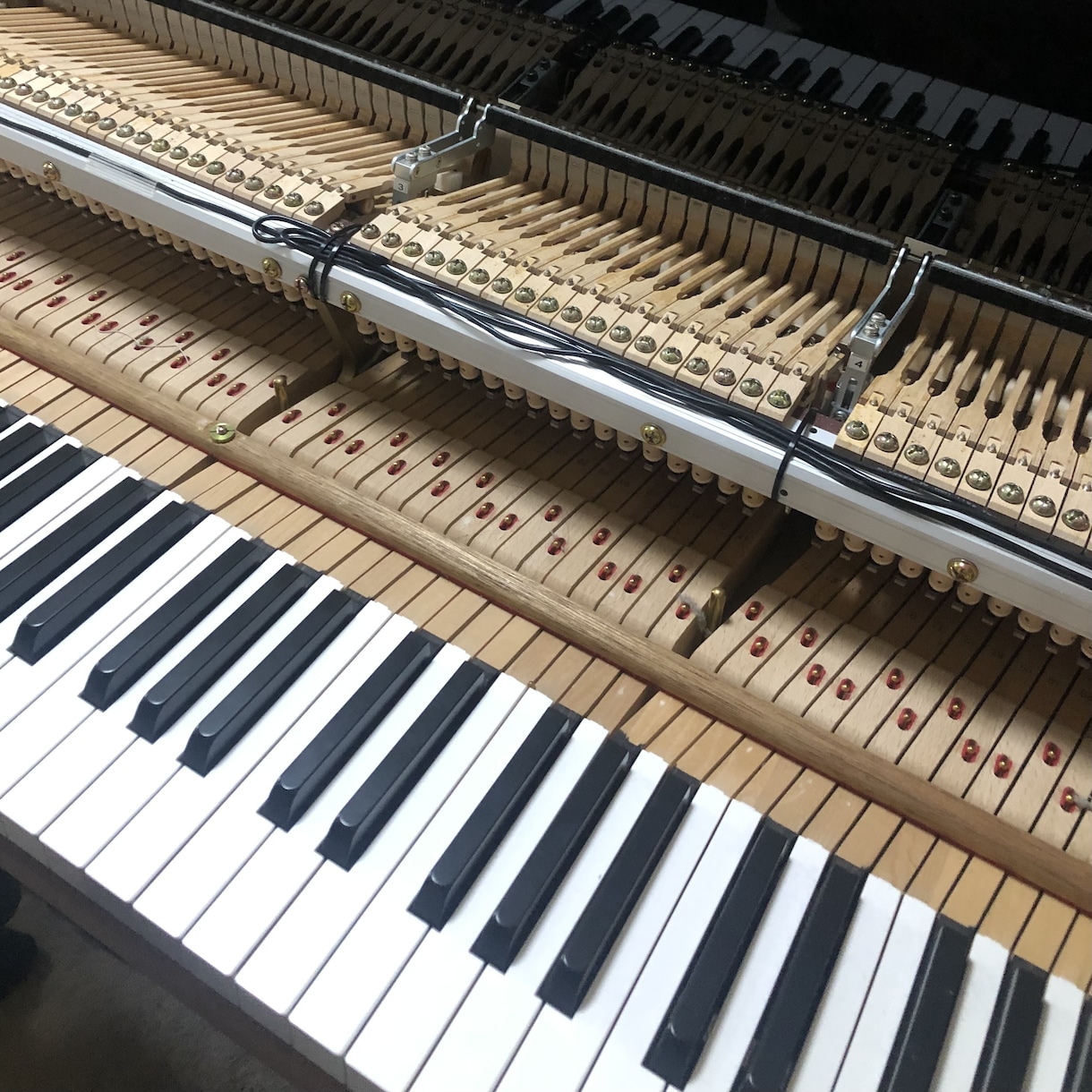 初めての依頼も安心！格安で楽曲制作いたします 丁寧なヒアリングと無料修正で理想の楽曲を形にします イメージ1