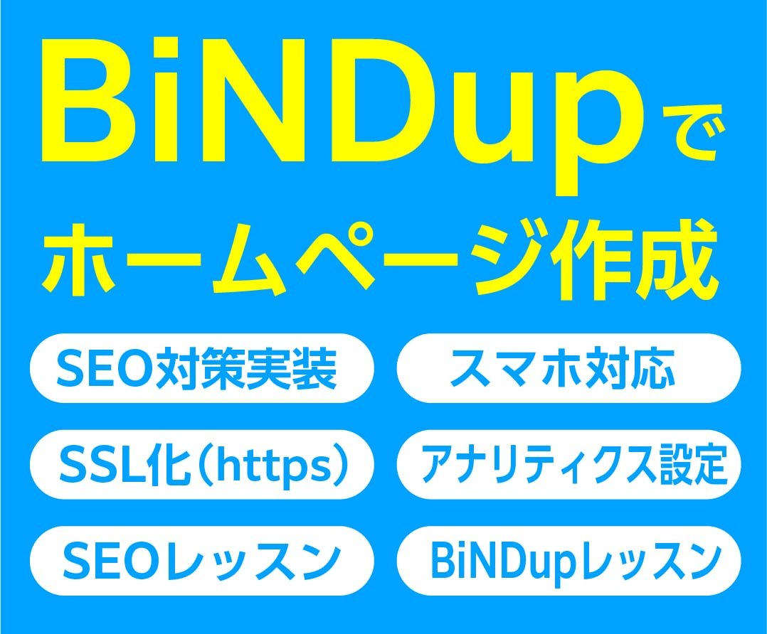 BiNDupでホームページを作ります デザインはプロにまかせ、更新はご自身で（更新料・管理費無料） イメージ1