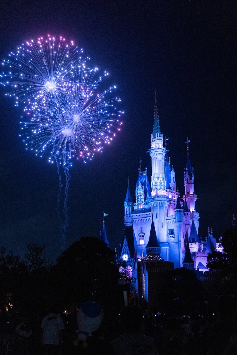 親御様必見！最高のディズニー旅をご提供します 元キャストのみ知るノウハウでご家族での思い出作りをお手伝い！ イメージ1