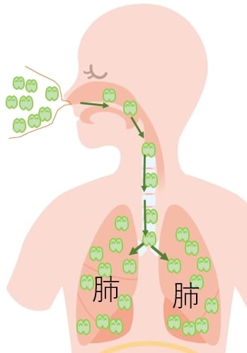 咳や喘息を薬に頼らない咳を止める方法を教えます 咳や喘息で苦しんでいる全ての方へ　原因は間違った呼吸の仕方 イメージ3