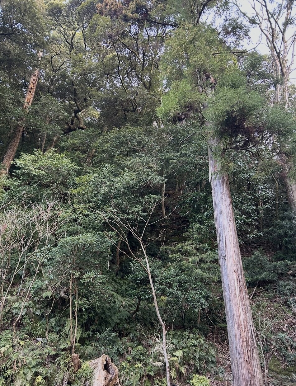 悩み、愚痴、恋愛、些細な事まで何でも聞きます どんなお話もお相手させていただきます。 イメージ1
