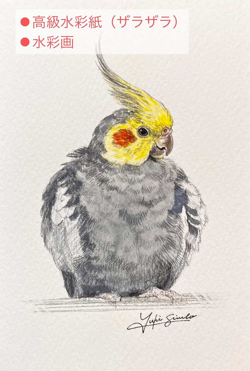 ペットの似顔絵を手描き原画で制作します お写真をもとに、ハガキサイズのペット肖像画を制作いたします。 イメージ3