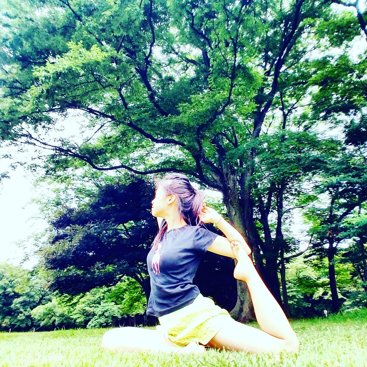 Vegan自然薬師が体質改善カウンセリングします 女性の月経リズムやダイエットが気になる方へ イメージ1