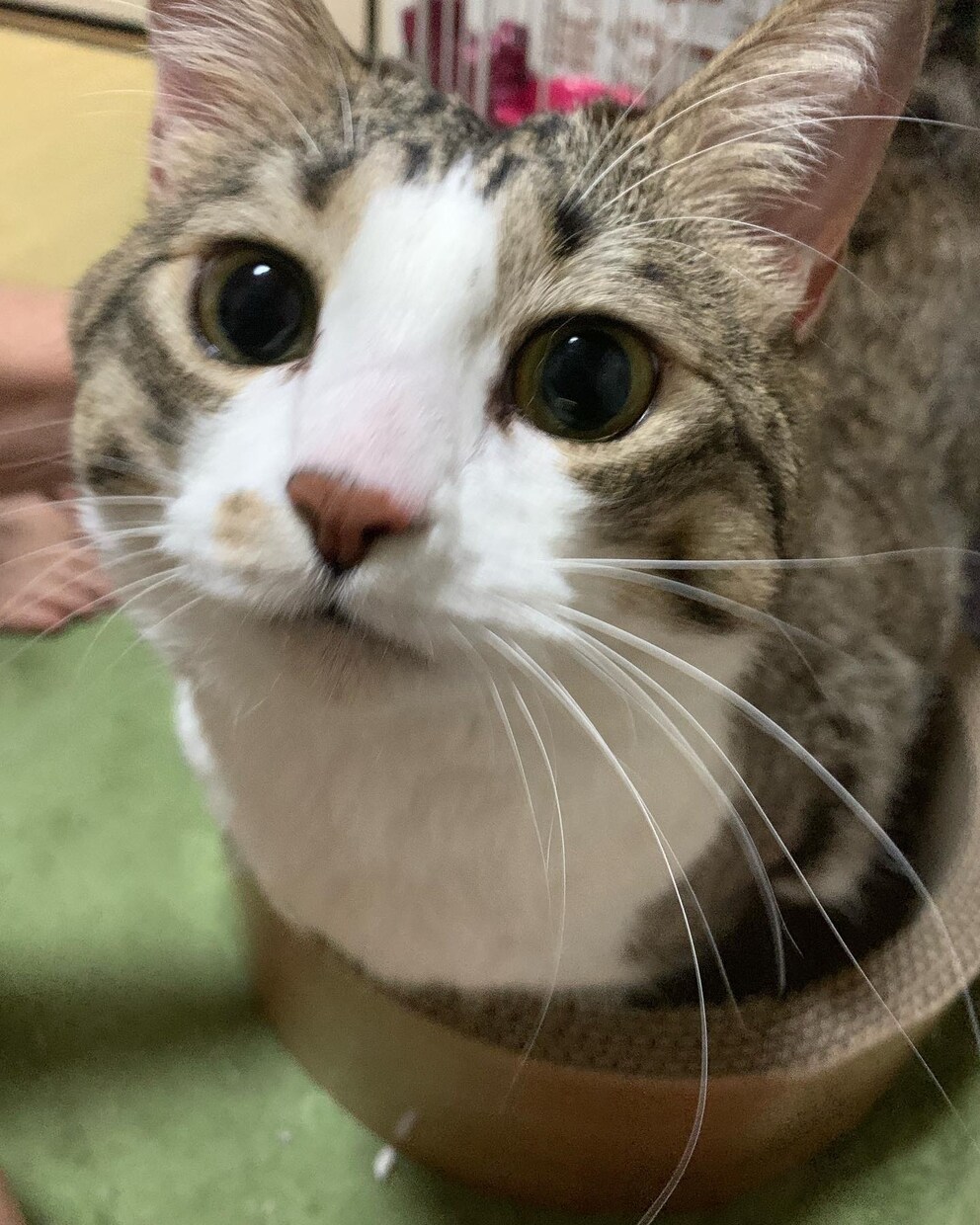 悩みも愚痴も何でも聞きます 誰だって悩みのひとつあるものその悩み少しでも楽にしましょう イメージ1