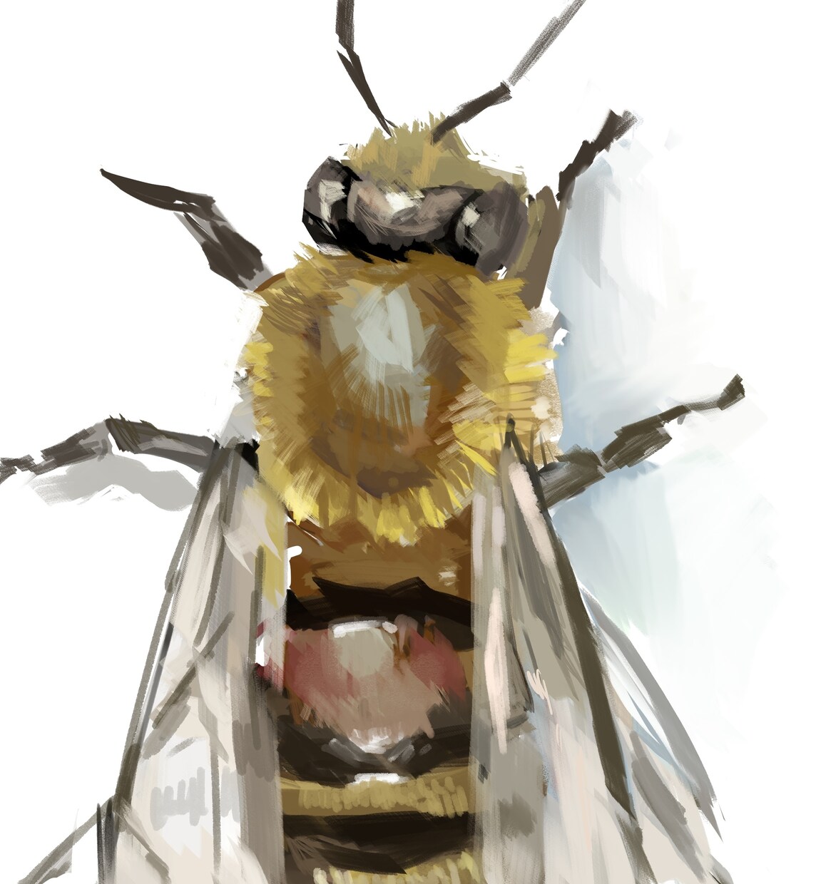 あなたのペットお描きします あなたの大切なご家族との思い出を、心を込めてお描きします。 イメージ3