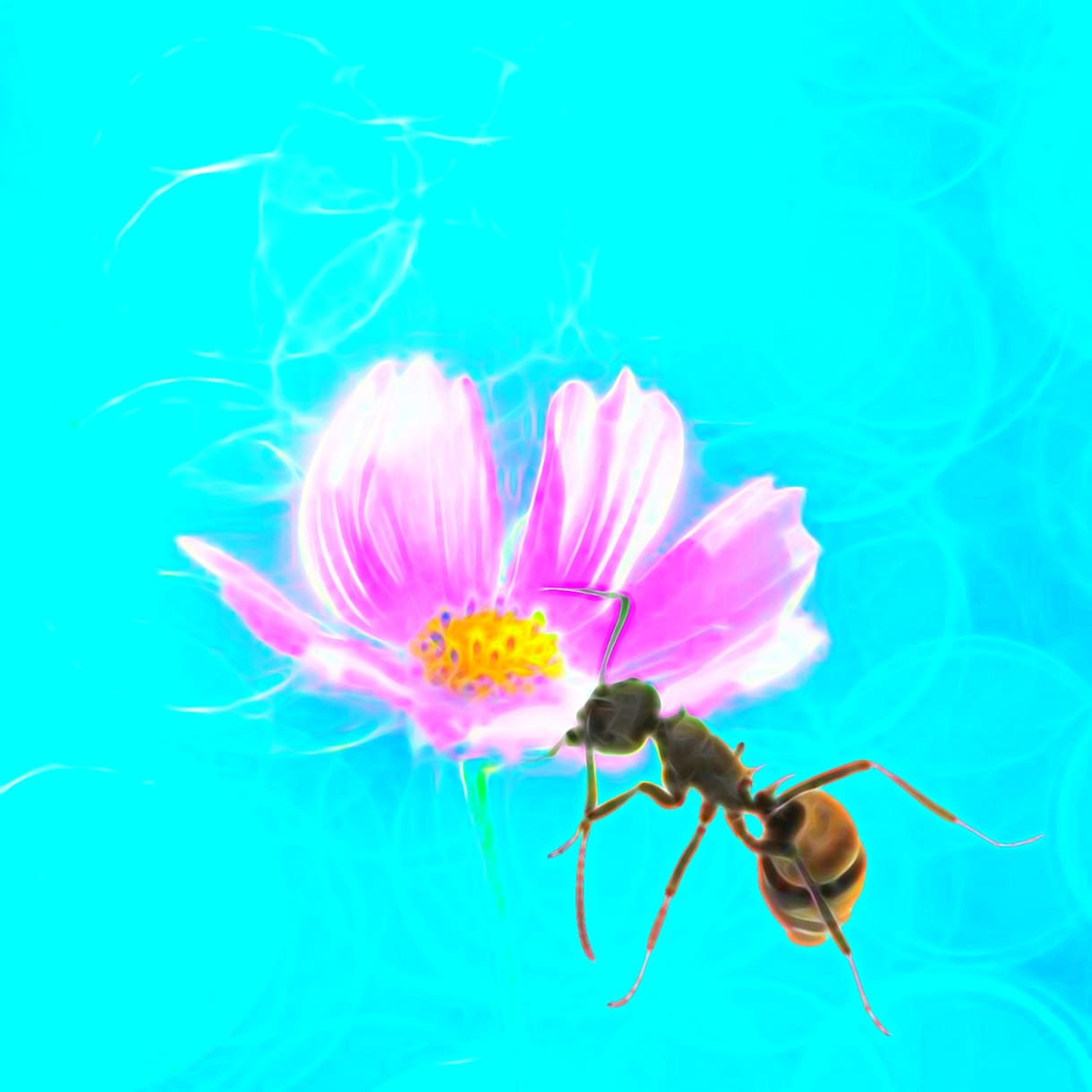 ご希望に合わせてアイコン用画像をお作りします 色の華やかさとデザイン性が特徴的。あと個性的です。 イメージ6
