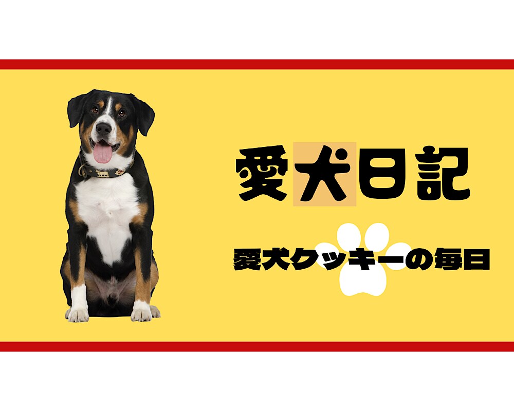 サムネイルデザイン制作します YouTubeやセミナー、VODなどのサムネイル作成します イメージ1