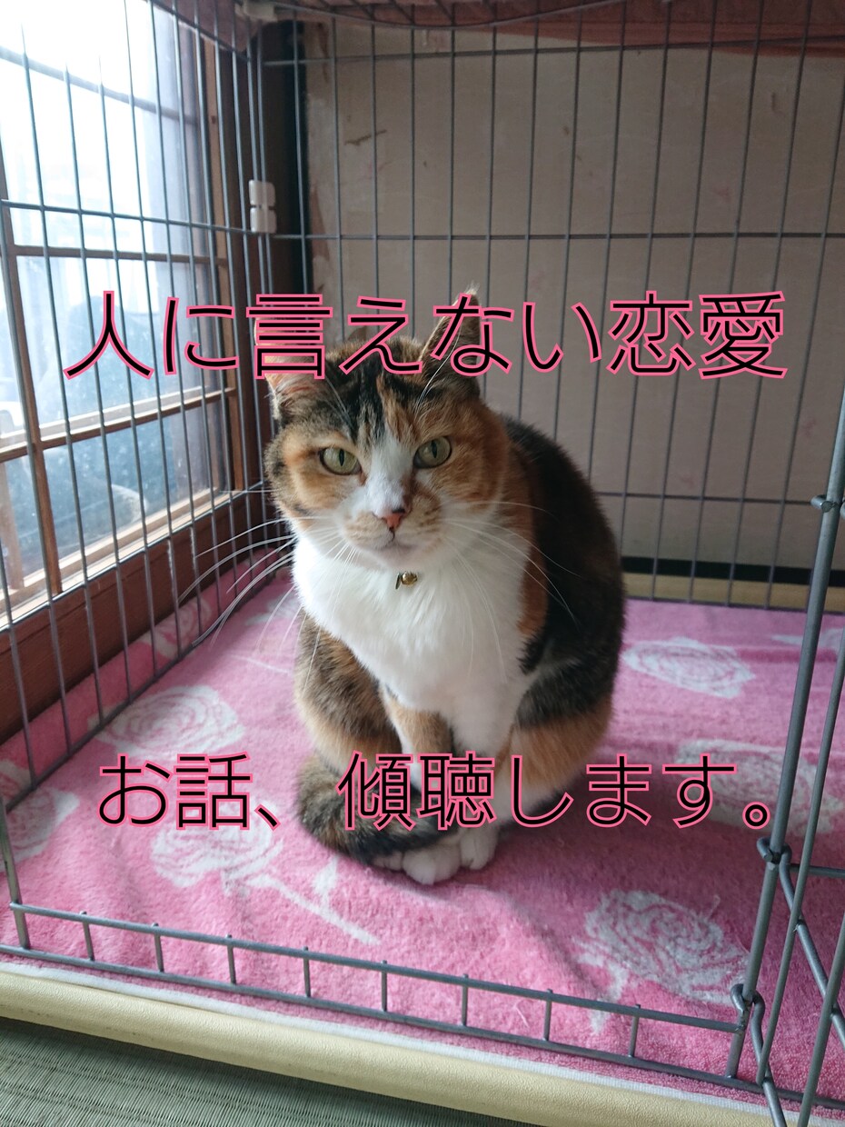 人に言えない恋愛のお悩み、傾聴します 人に言えない恋愛や体験、私がお話を傾聴します。 イメージ1