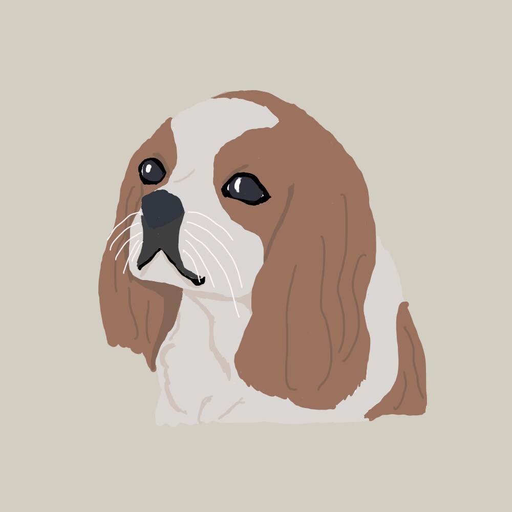 あなたのペットをイラストにします 写真をもとにペットをイラストにします！ イメージ1