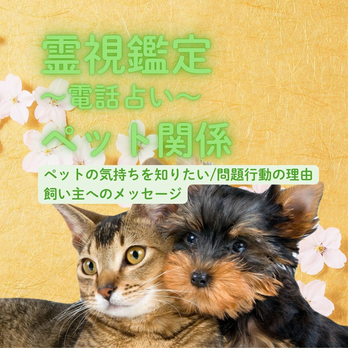 霊視鑑定　大切なペットちゃんの心の声をお伝えします 今の感情・不安・あなたへの想いなどを鑑定いたします。 イメージ1